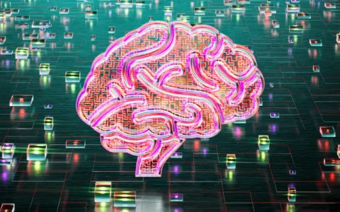 从Adobe到Palantir：AI与云计算爆发式增长下的三大受益股
